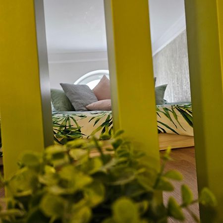 Apartament M Dornavátra Kültér fotó