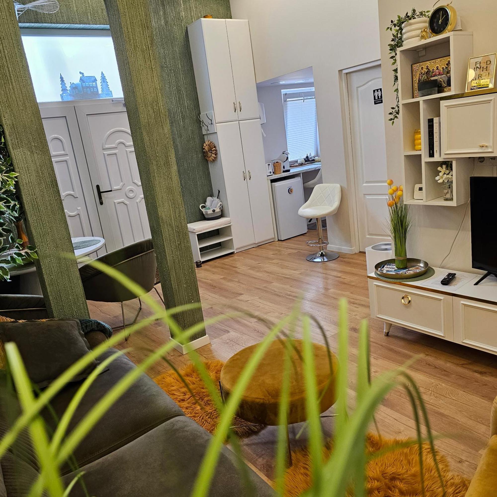 Apartament M Dornavátra Kültér fotó